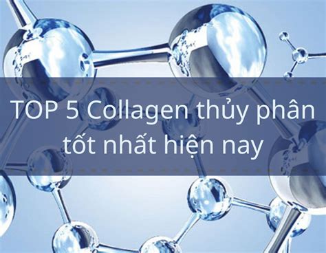 collagen thủy ngân là gì